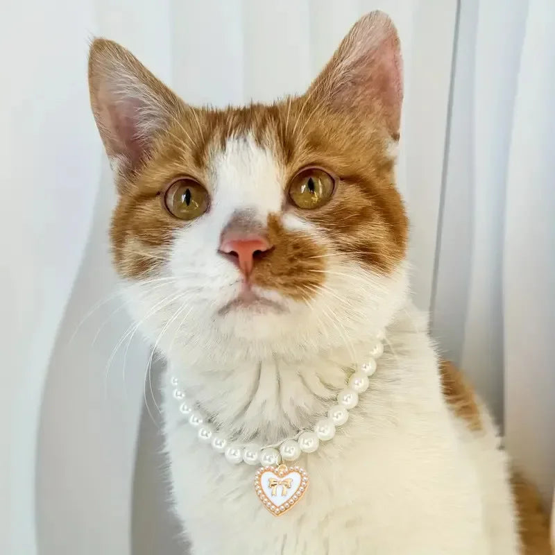 Cute Faux-Pearl Pet Collar