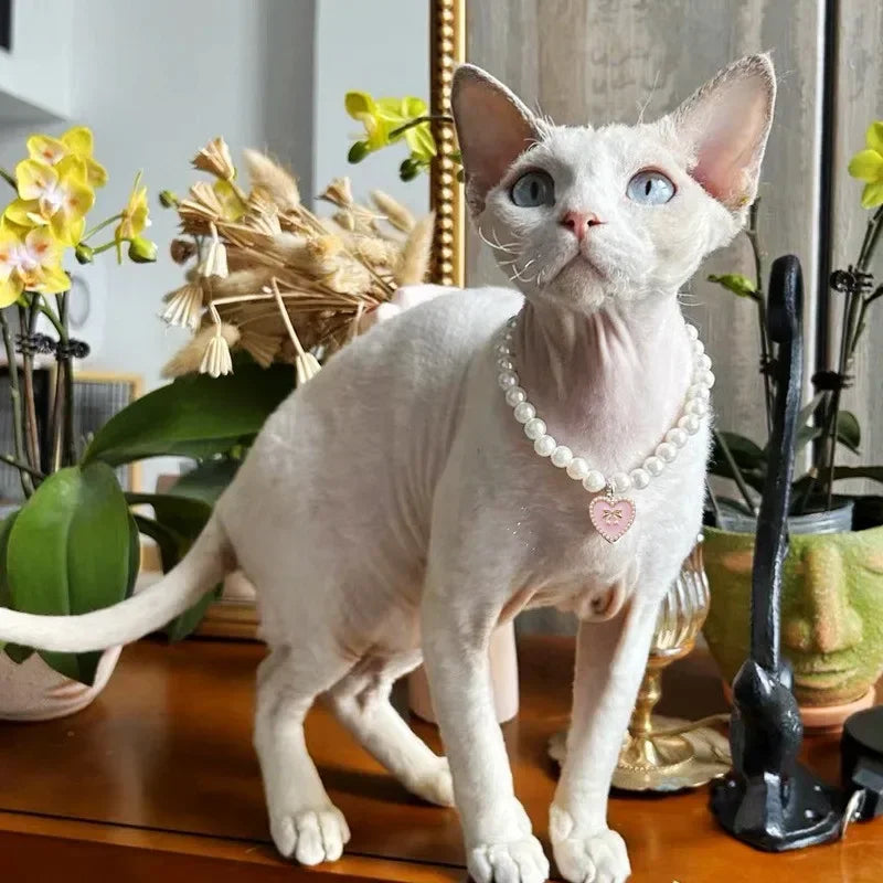 Cute Faux-Pearl Pet Collar