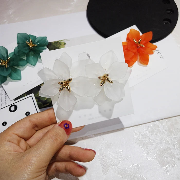 Korea Style Earrings