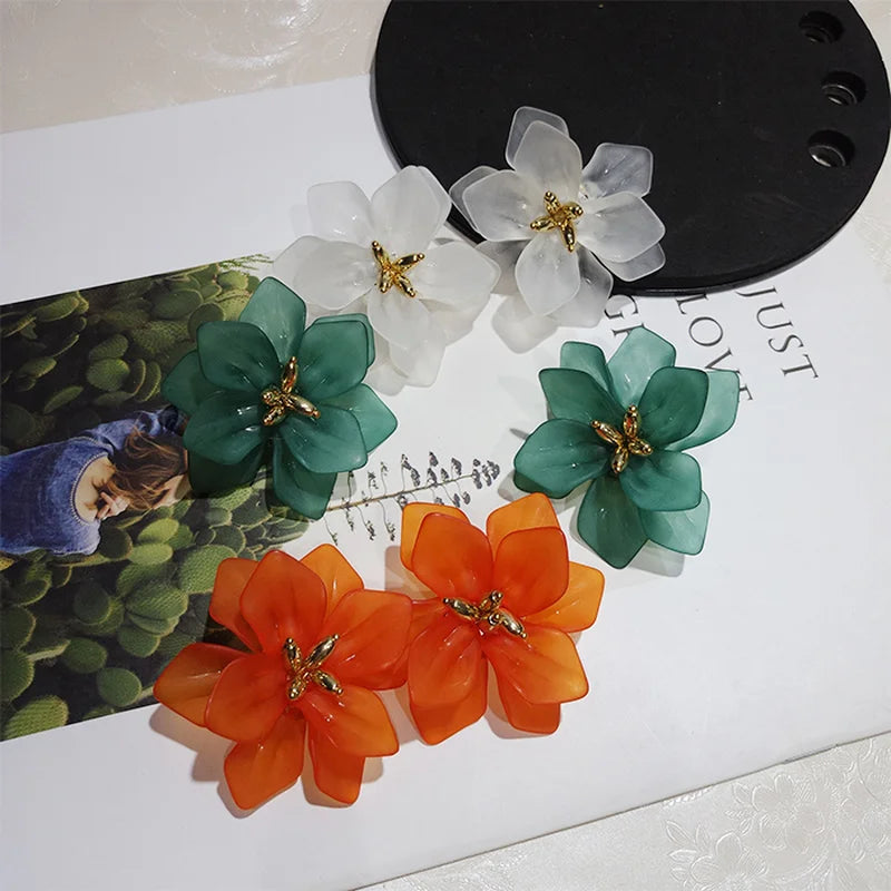 Korea Style Earrings