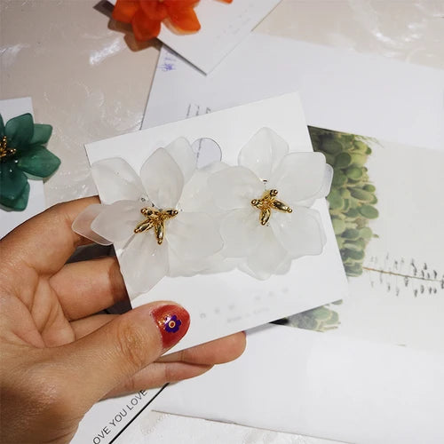Korea Style Earrings