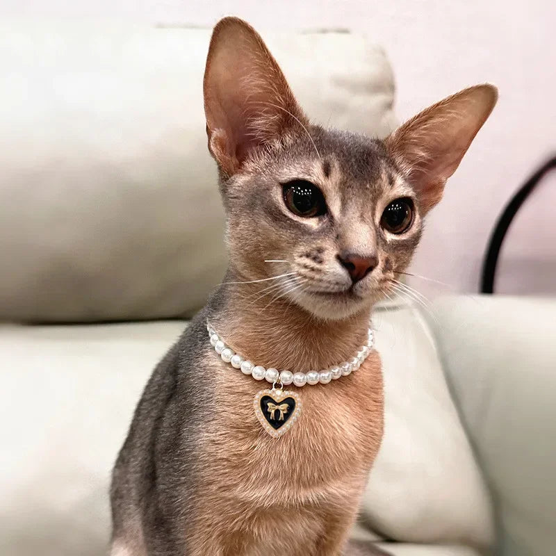 Cute Faux-Pearl Pet Collar