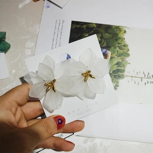 Korea Style Earrings