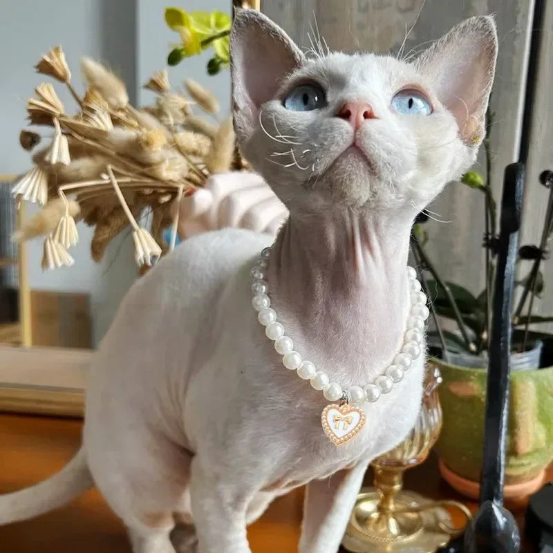 Cute Faux-Pearl Pet Collar