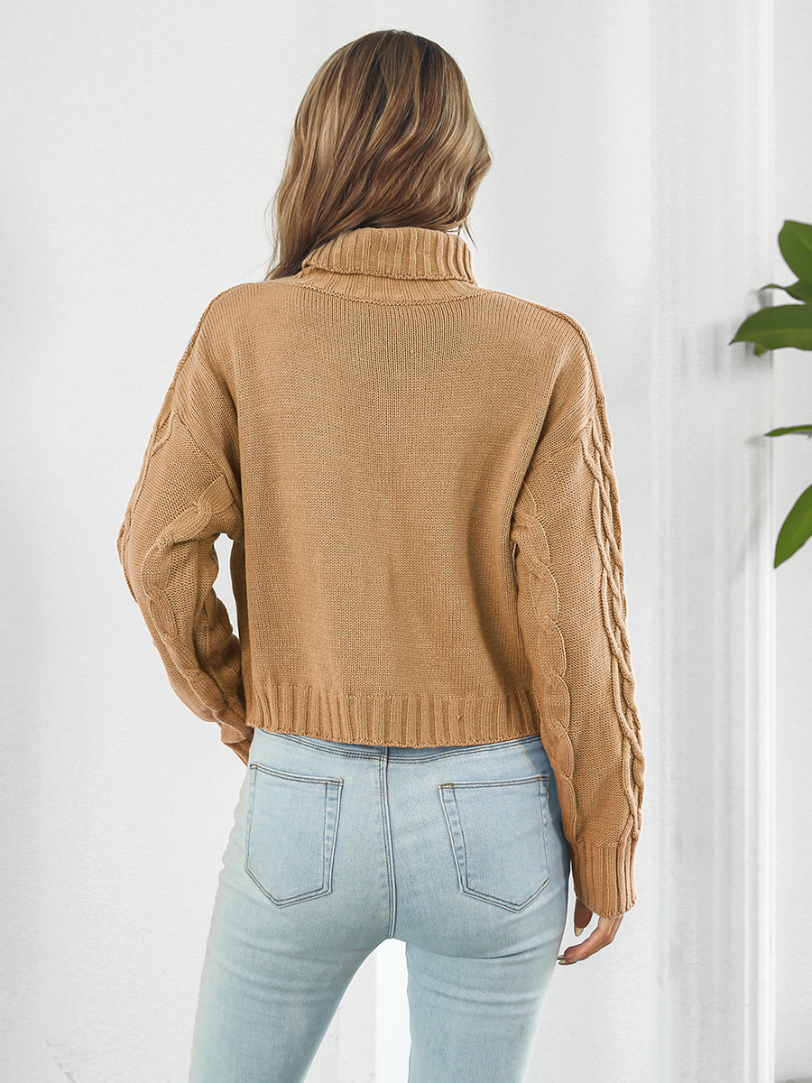 Beigey Brown Sweater