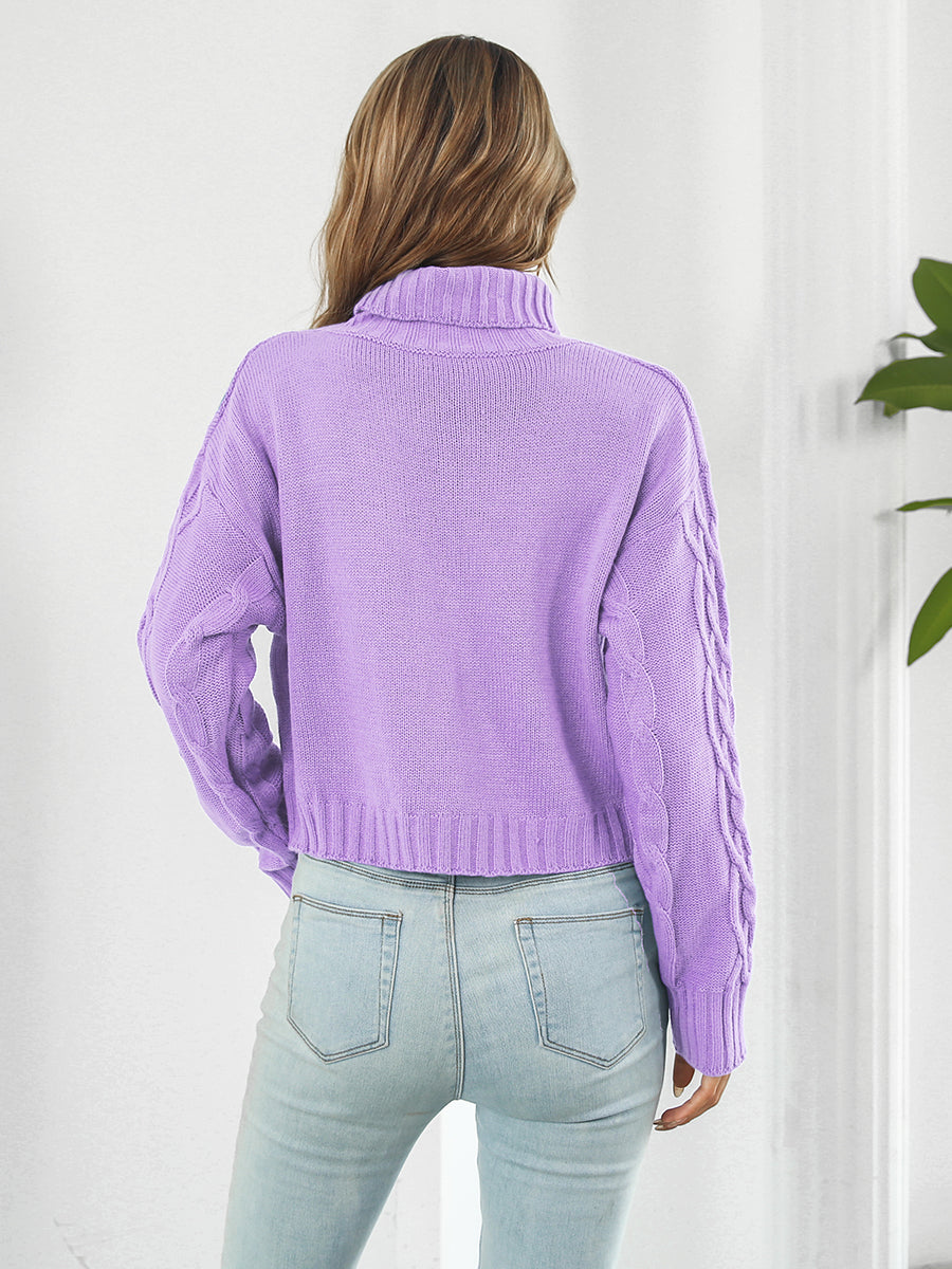 Beigey Brown Sweater