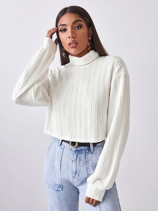 Basic Sweater Top