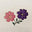CloBoho πΈ logo