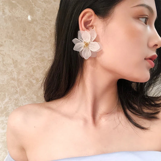 Korea Style Earrings
