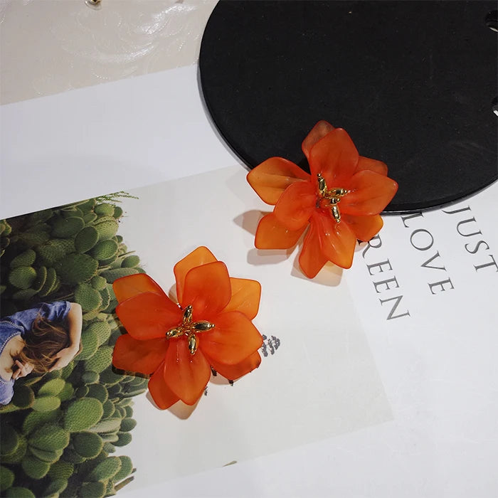 Korea Style Earrings