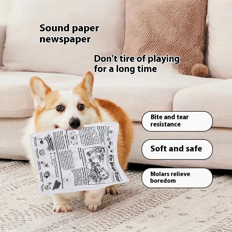 Dog's Newspaper Toy