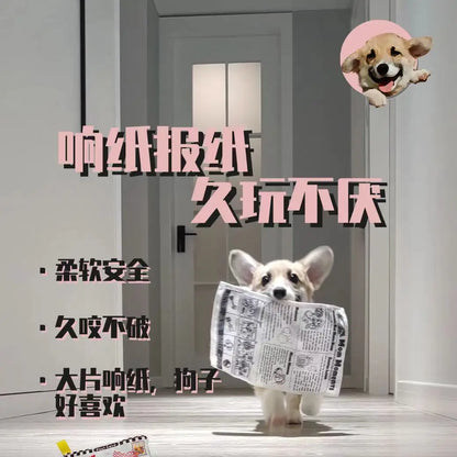 Dog's Newspaper Toy