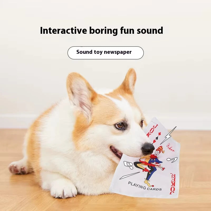 Dog's Newspaper Toy