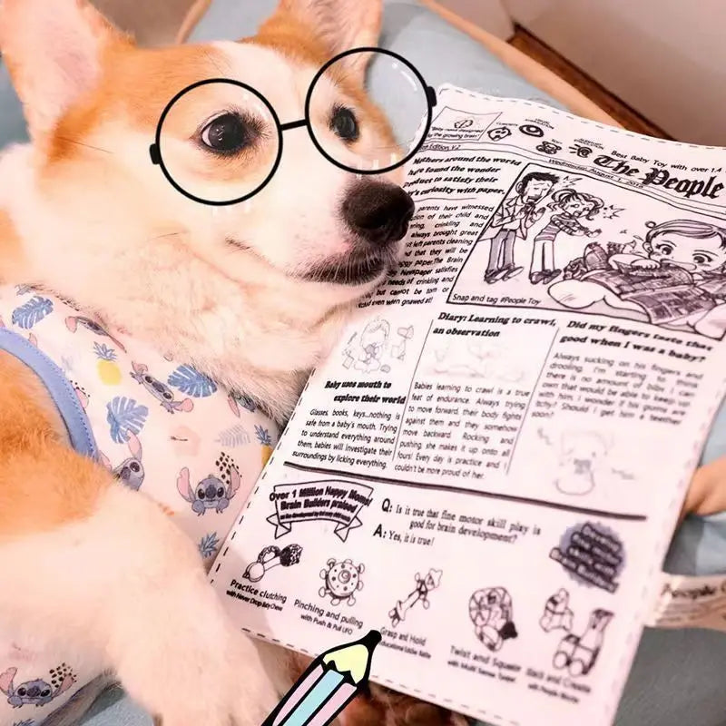 Dog's Newspaper Toy