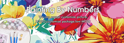 DIY Paint by Numbers!