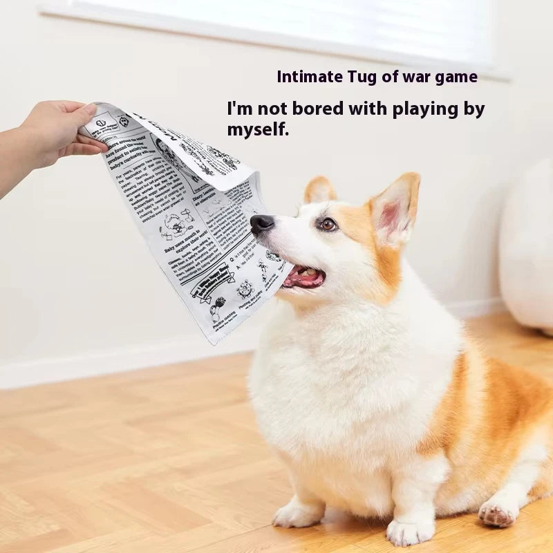 Dog's Newspaper Toy