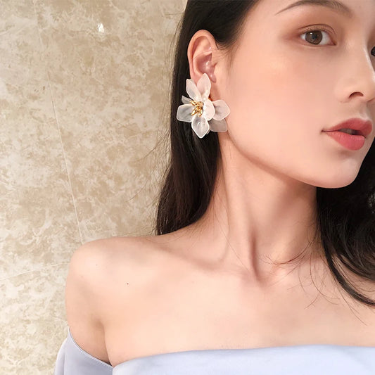 Korea Style Earrings