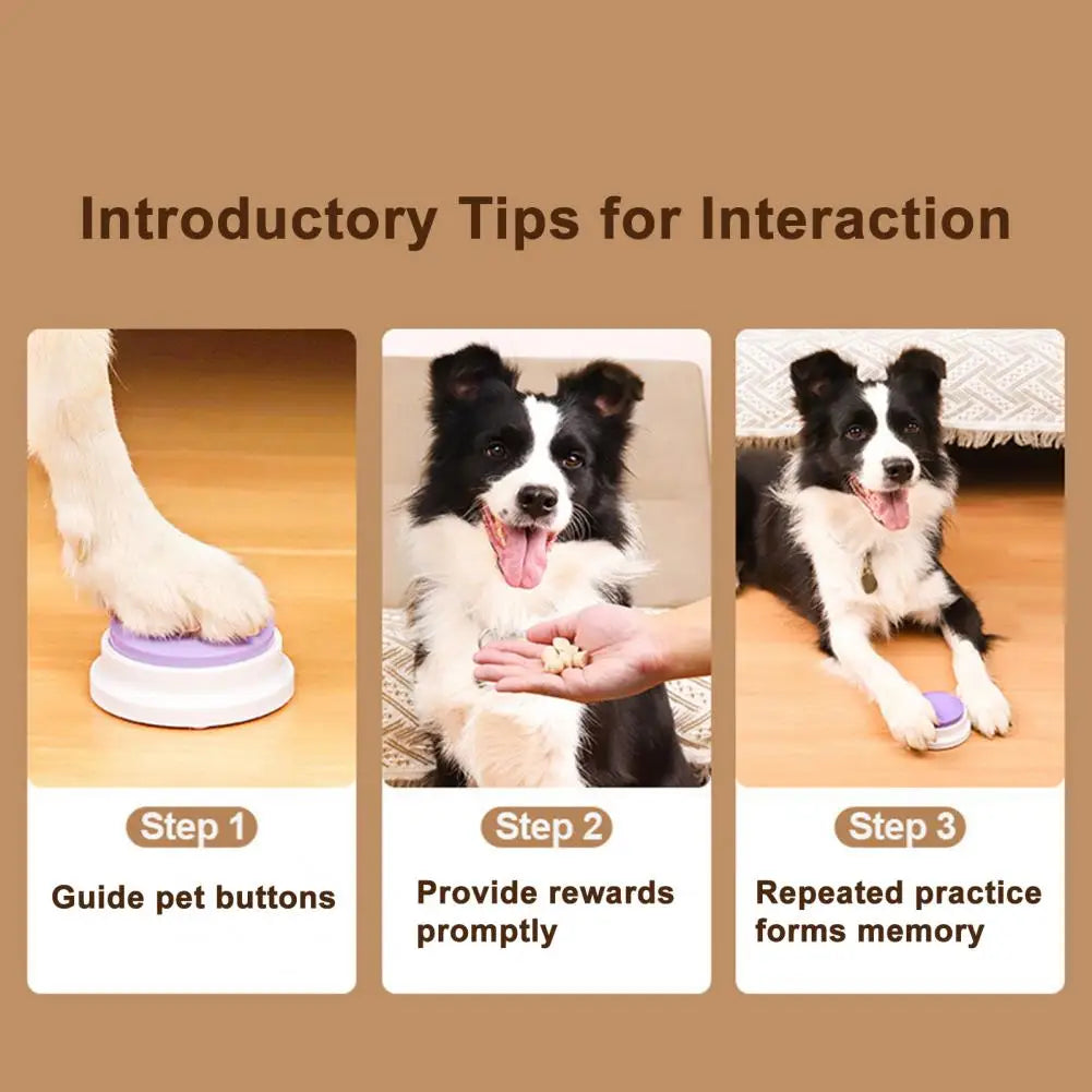 Pet Talker Trainer Buttons