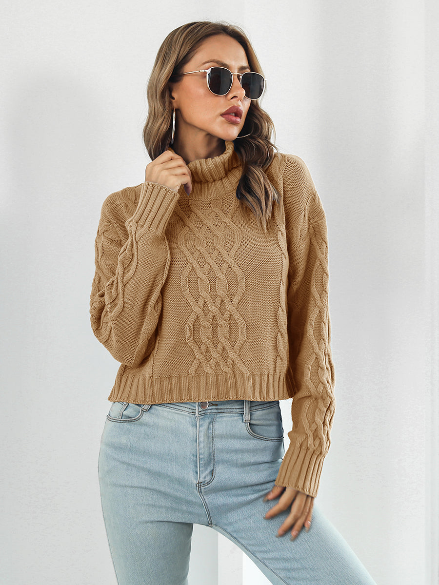 Beigey Brown Sweater