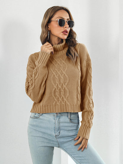 Beigey Brown Sweater