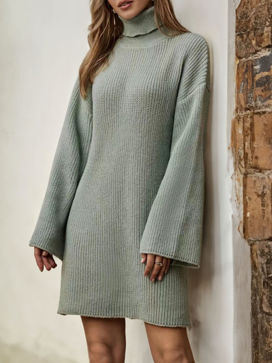 Turtleneck Comfy Sweater Dress