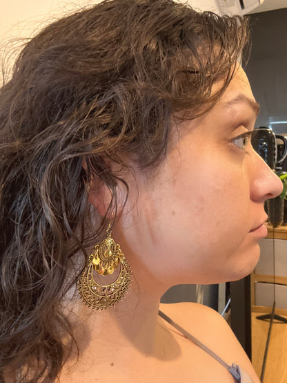 Exquisite Dangle Earrings