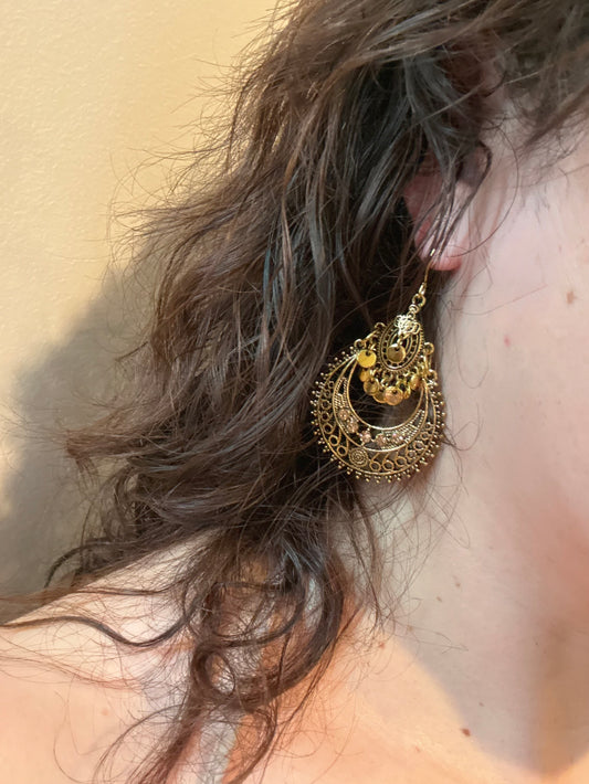 Exquisite Dangle Earrings