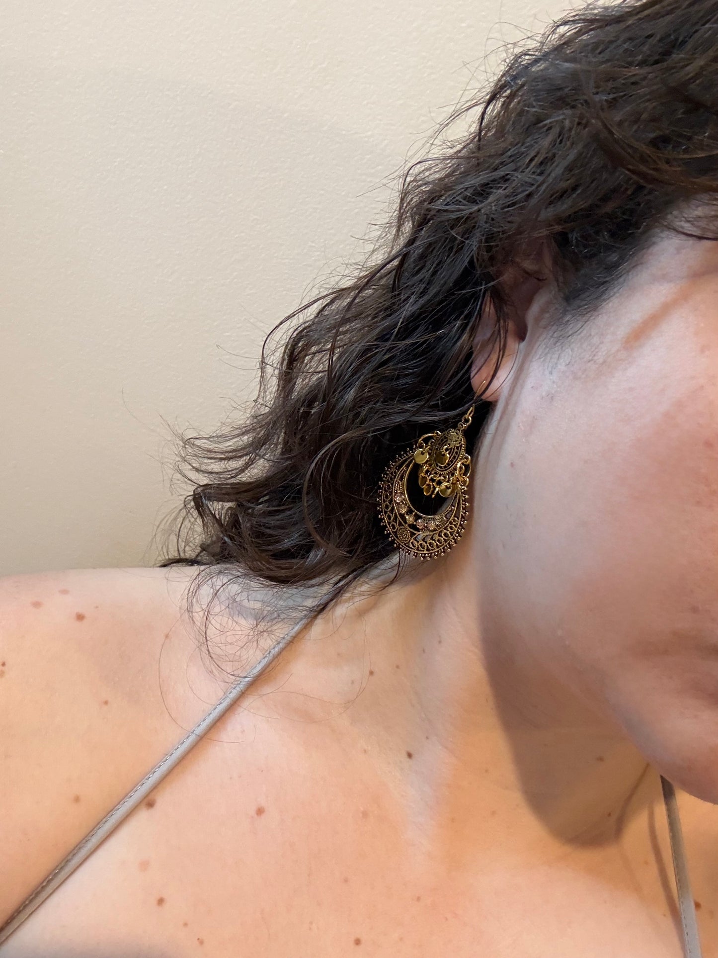 Exquisite Dangle Earrings